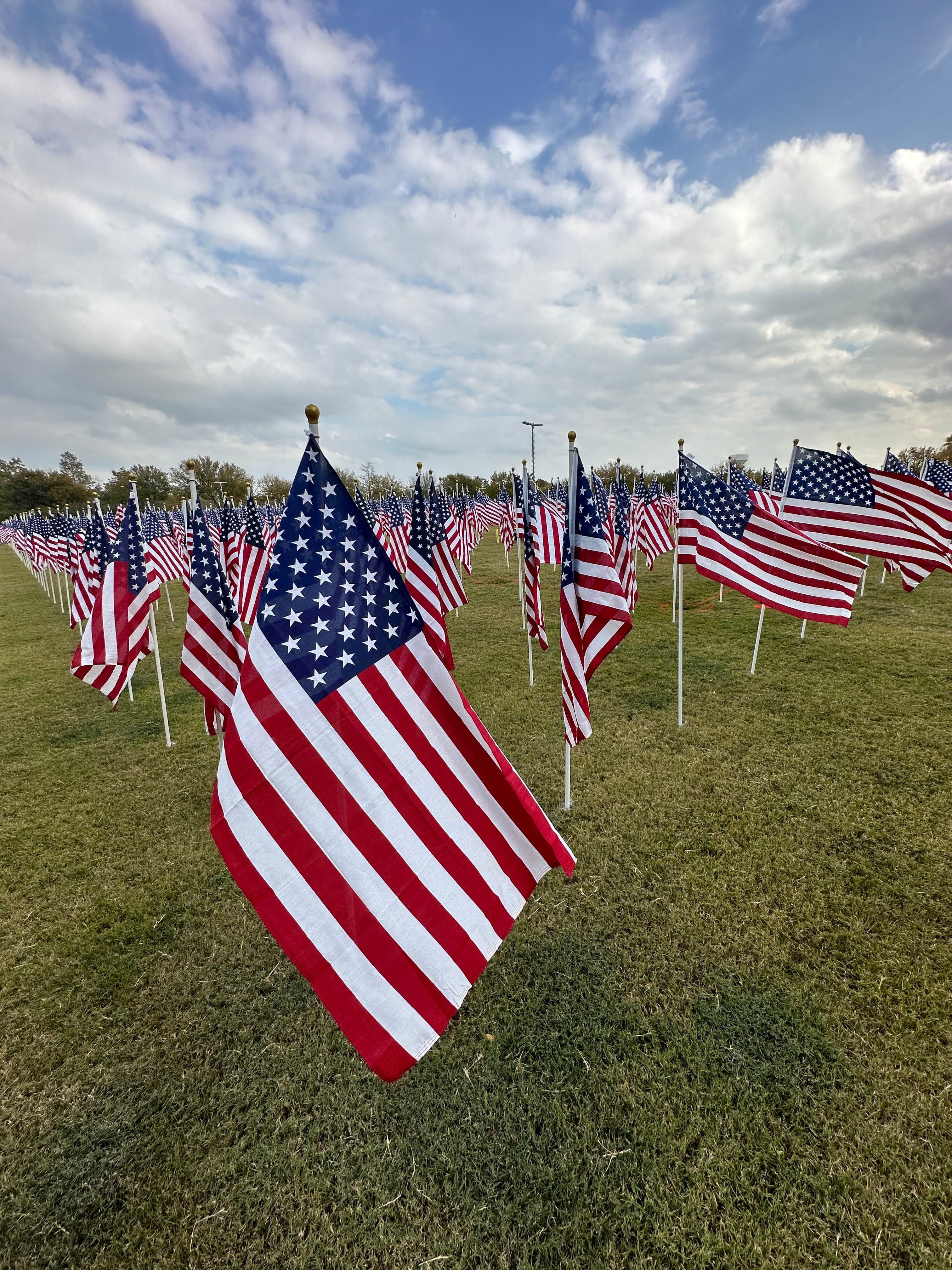 Cover Image for Happy Veteran's Day